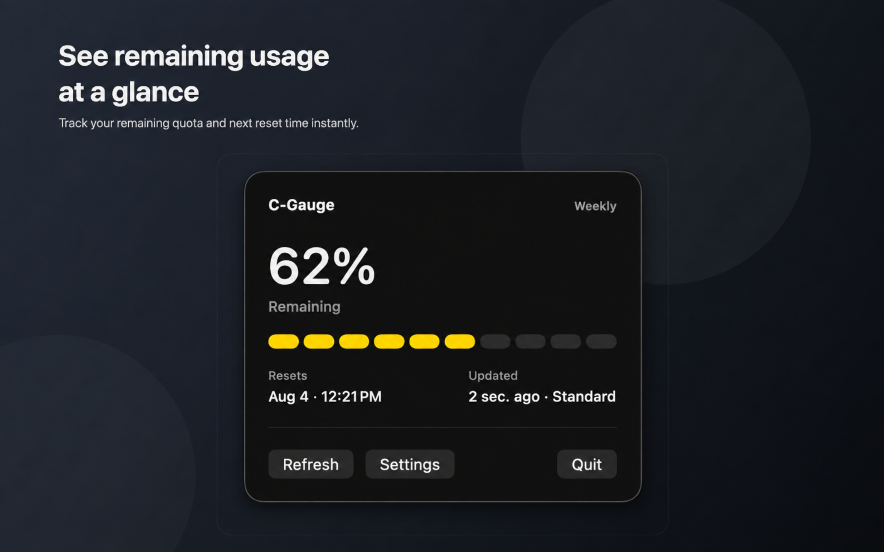 C-Gauge screenshot showing a detailed usage status view